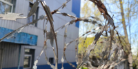 Один из обвиняемых в убийстве криптоблогера и его супруги в ОАЭ скончался в СИЗО - 47 новостей