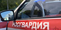17-летний чердаклинец пытался обокрасть супермаркет в Ульяновске - Ulyanovsk.Express