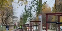 В Калуге на улице Жукова появились новые яблони - Комсомольская Правда