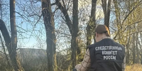 Расчлененное тело в сумках на берегу канала обнаружили в Петербурге - Сетевое издание Толк