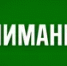 Кирилл Первов канал в Макс - Башинформ