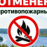 В Удмуртии официально отменили особый противопожарный режим - Воткинский район