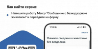 На портале «Госуслуги» можно уведомить о безнадзорном животном - Еткульский район