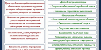 💼 Официальное трудоустройство: выгода для всех!. - Свечинский муниципальный округ