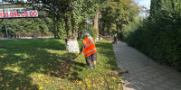 Осень добавляет городу красок, а сотрудникам МКУ «Благоустройство г. Малгобек» — работы. - Администрация г. Малгобек