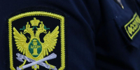 Долги за мусор и штрафы ГАИ: курганская семья заплатила 100 тысяч, чтобы продать недвижимость в Челябинской области - Область 45