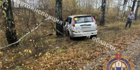 В Щекинском районе легковушка съехала в кювет, пострадали женщина и ребенок - ГТРК