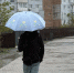 Фото: PRIMPRESS | Режим повышенной готовности введут во Владивостоке на двое суток - PrimPress.Ru