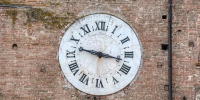 Фото: Felix Tchvertkin/Shutterstock/Fotodom - Ямал-Медиа