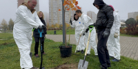 В Обнинске снова сажают деревья - NgRegion.Ru