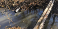 В районе локомотивного депо Хабаровска обнаружили сброс воды с масляной пленкой - Тихоокеанская звезда