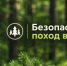 Более 30 грибников потерялись в лесах Псковской области с начала года - Псковская правда