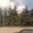 16 октября воздух в Курской области прогреется до +17 - Комсомольская Правда
