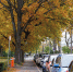 В Петербурге на следующей неделе ожидаются сухие, спокойные и солнечные дни - Петербургский дневник