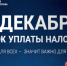 Успейте уплатить налоги до 1 декабря - Краснозерский район