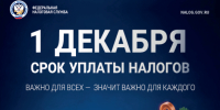 Успейте уплатить налоги до 1 декабря - Краснозерский район