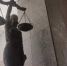 На Дону мужчину приговорили к 8,5 годам  за убийство знакомого из-за ревности - DonDay.Ru