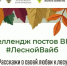 Юные татарстанцы приглашаются к участию в онлайн-челлендже #ЛеснойВайб - Министерство лесного хозяйства