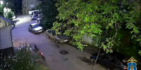 В Ессентуках девушка пыталась украсть электровелосипед - StavropolNews.Ru