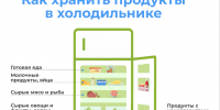 Как правильно хранить продукты в домашнем холодильнике - Роспотребнадзор