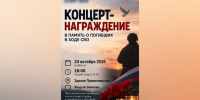 Воронежцев предупредили о фейке про памятный концерт для родственников бойцов, погибших на СВО - РИА Воронеж