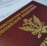 Жительница Дубовки выплатила долг по налогам после срыва отдыха за границей - Газета Городские вести