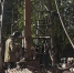 001db7f4-2880-43eb-bfc5-b972dce197c2 - ТРК Щелково