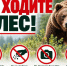 Осипов попросил забайкальцев сообщать о медведях рядом с населёнными пунктами - Забайкальский рабочий
