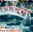 Новости центра «Мой бизнес» - Калининский район