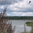 background - Kaluga-Poisk.Ru