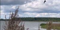 background - Kaluga-Poisk.Ru