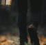 image - GazetaRB.Ru