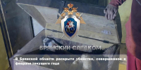 В Брянской области раскрыли убийство женщины - БрянскНОВОСТИ.RU