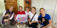 Активисты «Движения Первых» из Нижневской школы познакомились с котами из Мариуполя - Новый мир