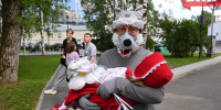 1309 отцов в Коми «сидят в декрете» с детьми - Bnkomi.Ru