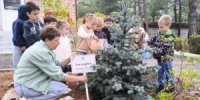 🌲 Зелёный подарок будущему — Геленджику — 1️⃣9️⃣5️⃣ лет - Управление образования