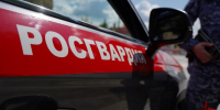На востоке столицы росгвардейцы задержали дебоширов в хостеле (видео) - Росгвардия