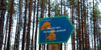 Фото предоставлено министерством природных ресурсов и ЛПК Архангельской области - Пресс-центр Правительства
