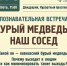 Сочинцам расскажут, как безопасно соседствовать с медведями - Sochi.Com
