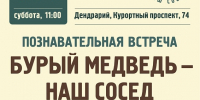 Сочинцам расскажут, как безопасно соседствовать с медведями - Sochi.Com