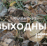 Тагильские выходные, топ-7: спеть с хором, послушать поп-рок, посмотреть, как рушатся империи, победить стереотипы и перекинуться в картишки - Между Строк