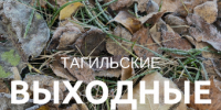 Тагильские выходные, топ-7: спеть с хором, послушать поп-рок, посмотреть, как рушатся империи, победить стереотипы и перекинуться в картишки - Между Строк