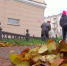 Видео - ТВН