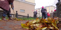 Видео - ТВН