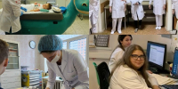 ВСЕМИРНЫЙ ДЕНЬ АЛЛЕРГОЛОГА: КРЕПКОГО ВАМ ИММУНИТЕТА, ЛИЧНОГО БЛАГОПОЛУИЯ И ПРОФЕССИОНАЛЬНЫХ ПОБЕД! - ГБУЗ ДГКБ №9 им. Г.Н. Сперанского ДЗМ