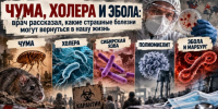 Чума, холера и Эбола: врач рассказал, какие опасные болезни могут вернуться в нашу жизнь - Bloknot-Rostov.Ru