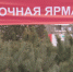 Точки ёлочных базаров в Воронеже начали сдавать в аренду - ГТРК Воронеж