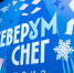 В четвертой игре квиза «СеверУМ Снег» победили «Мозгобойцы» - ИА Таймырский Телеграф