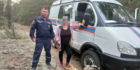 Заблудившаяся в лесу грибница залезла на вышку, чтобы вызвать спасателей - DonDay.Ru