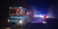 В Кинешемском районе автобус наехал на велосипедиста — пострадавший в больнице - Сетевое издание Ивановские новости